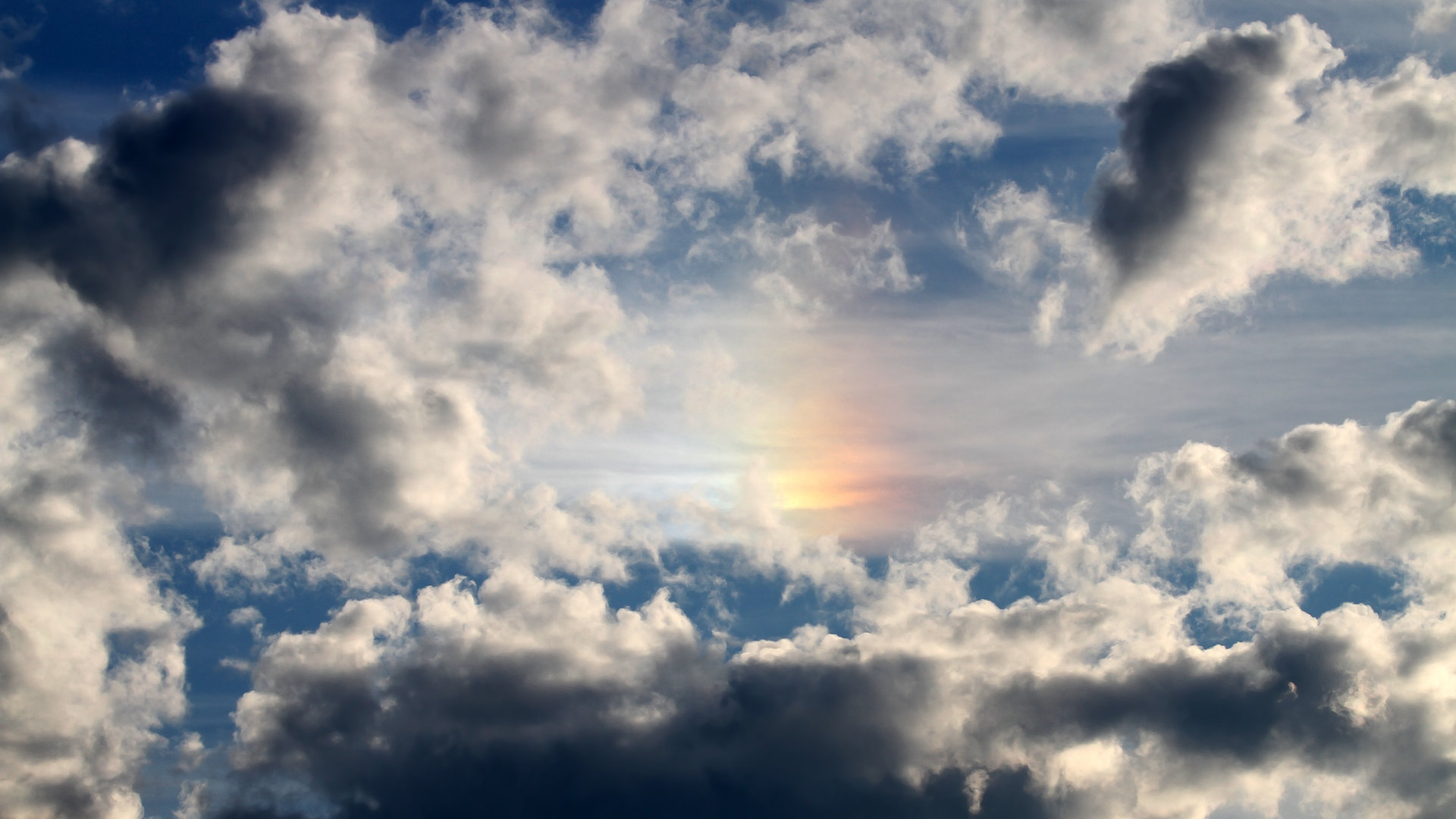 爱游戏官方-全國摔跤锦标赛，力量与技巧的荣耀舞台，全国摔跤锦标赛事件