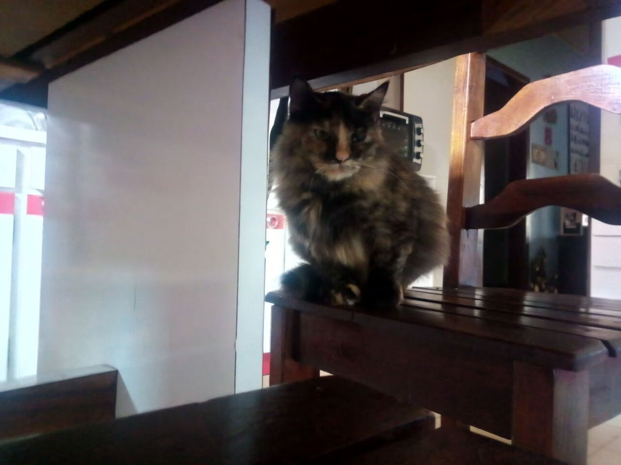 宏观分析:联盟今季战绩变化的深层原因,联盟战绩时间是开始时间还是结束时间