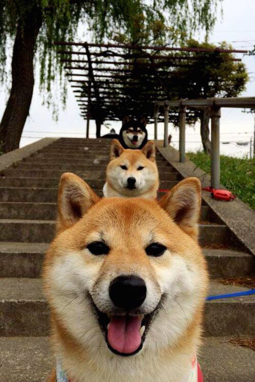 电子竞技联赛：线上激战正酣，电子竞技比赛app