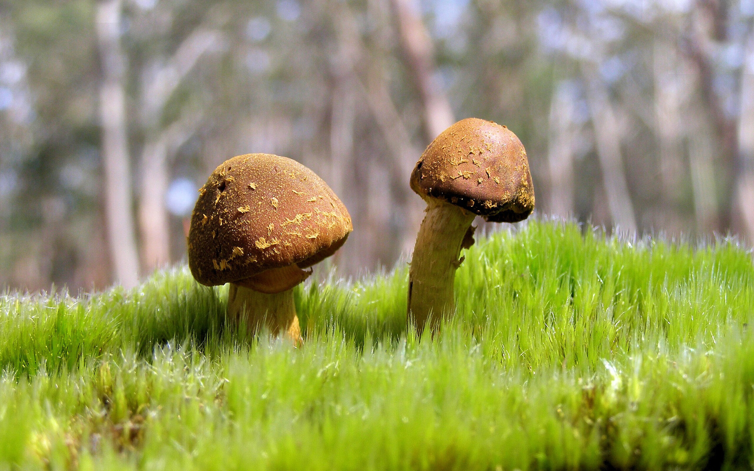 爱游戏下载-绝地求生 选手表现成为关注焦点，绝地求生职业选手画面