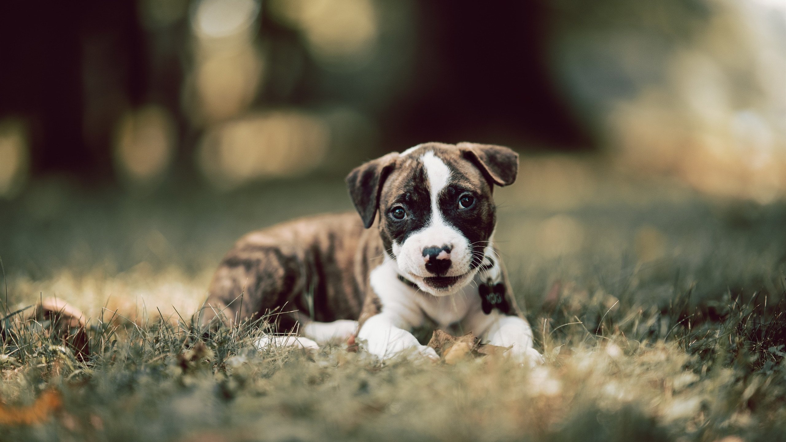 劲爆热门!国内足球赛况交相辉映,足球赛程中国