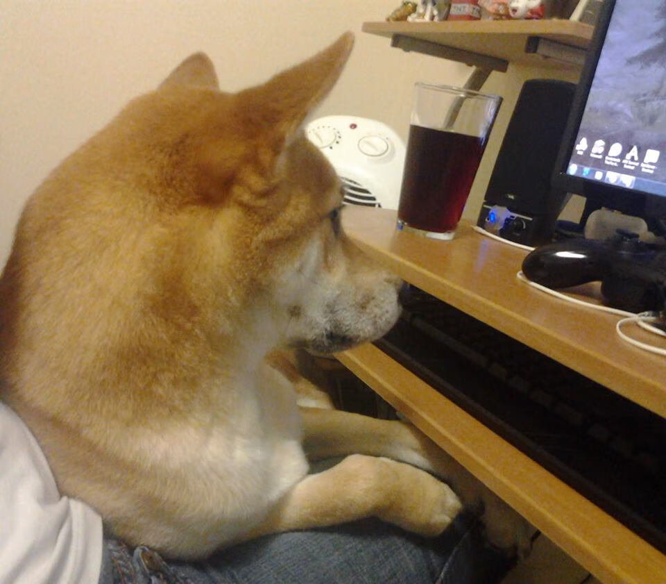 中超球队控场失误分布图解,中超控球最好的球队