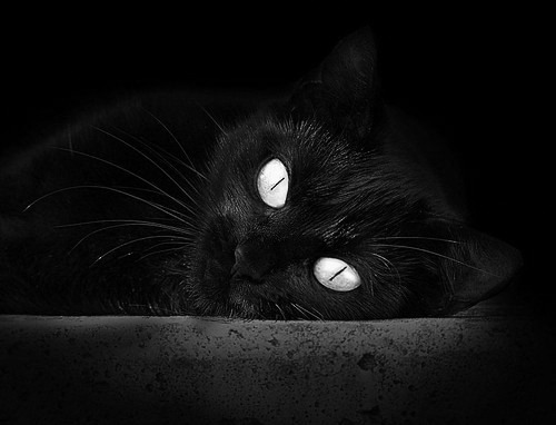 爱游戏体育APP下载-巴萨短传渗透展现技术流风采，巴萨传控