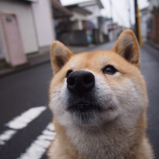 技术数据反映训练成果,对数据进行训练