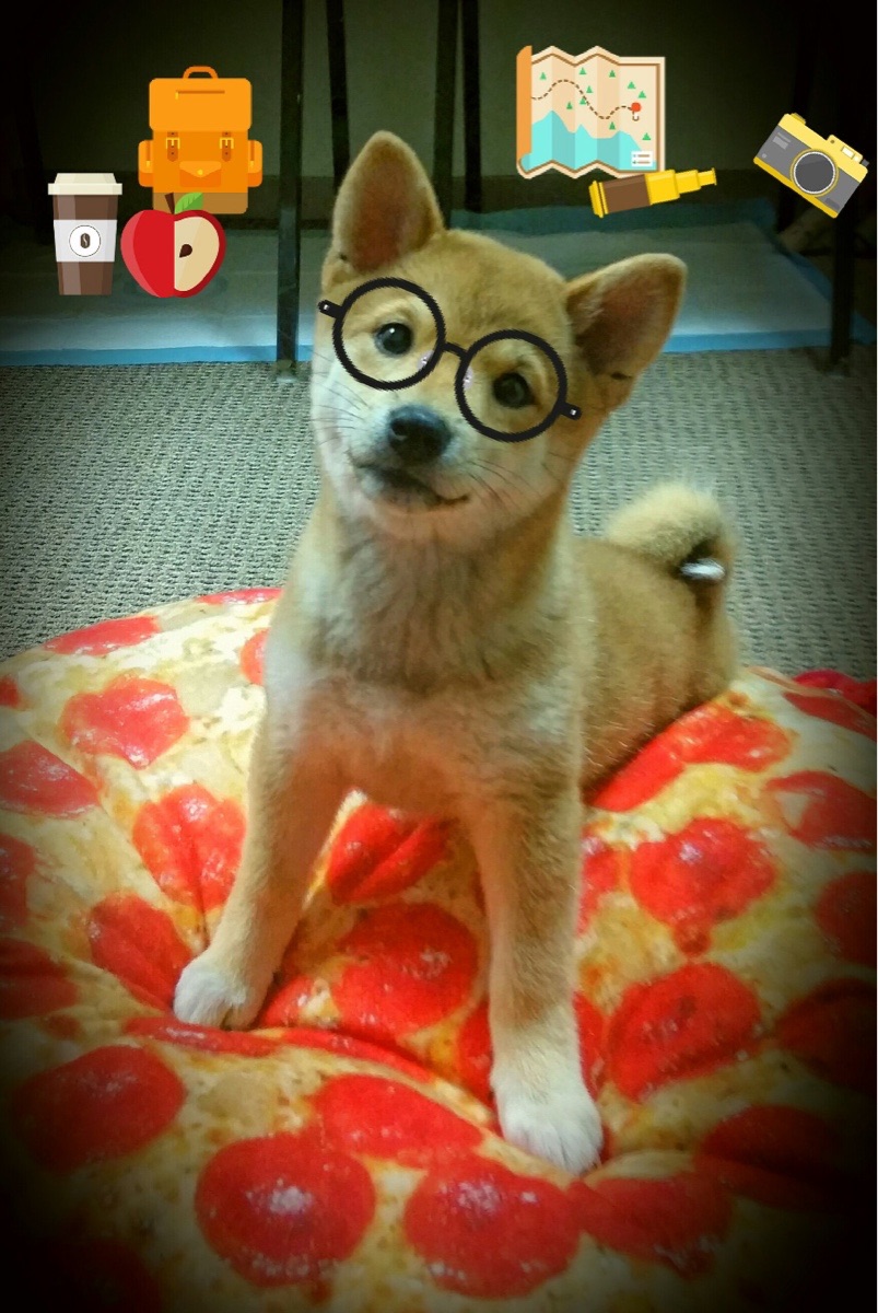 爱游戏下载-巴雷特：全黑队中流砥柱，他的比赛判断力帮助球队稳步前行，巴雷特十佳球