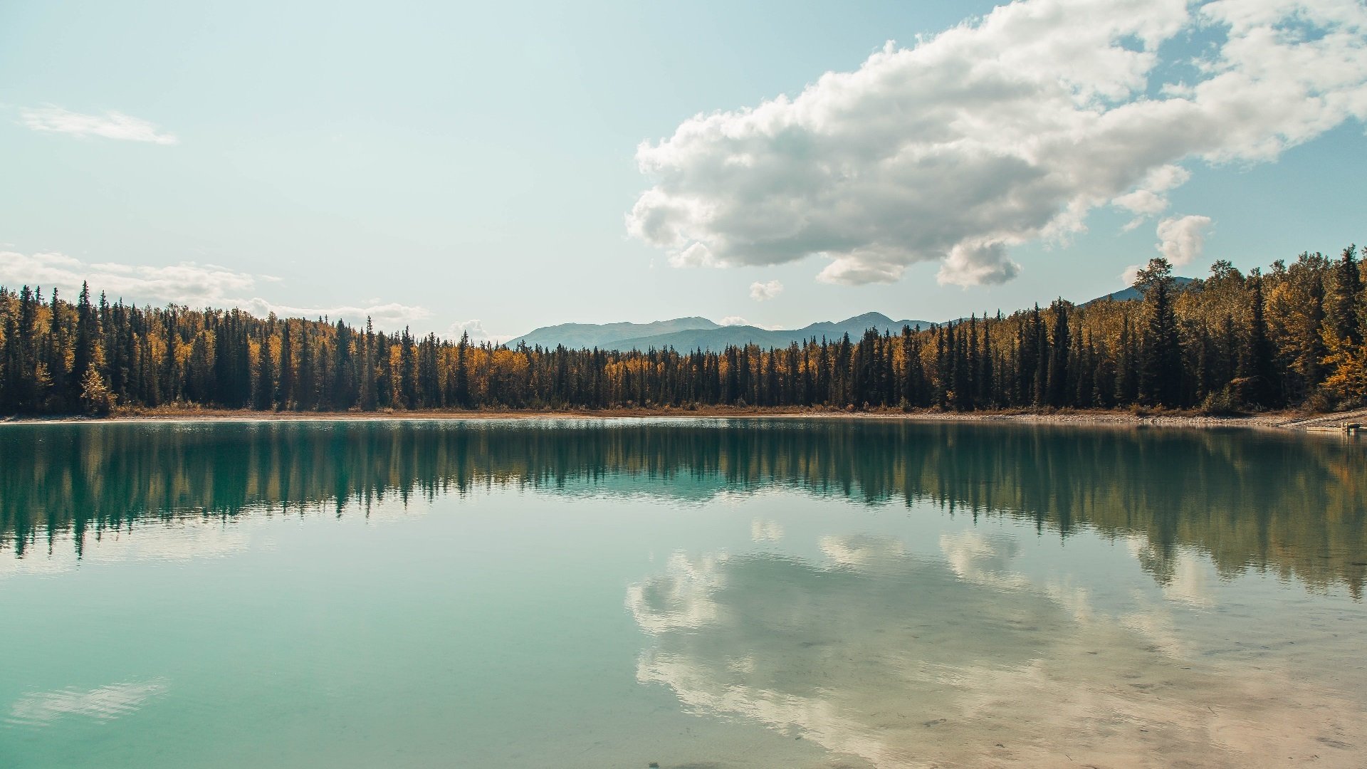 AIYOUXI.COM-法甲年轻力量：未来之星闪耀崛起！，法甲最年轻出场球员