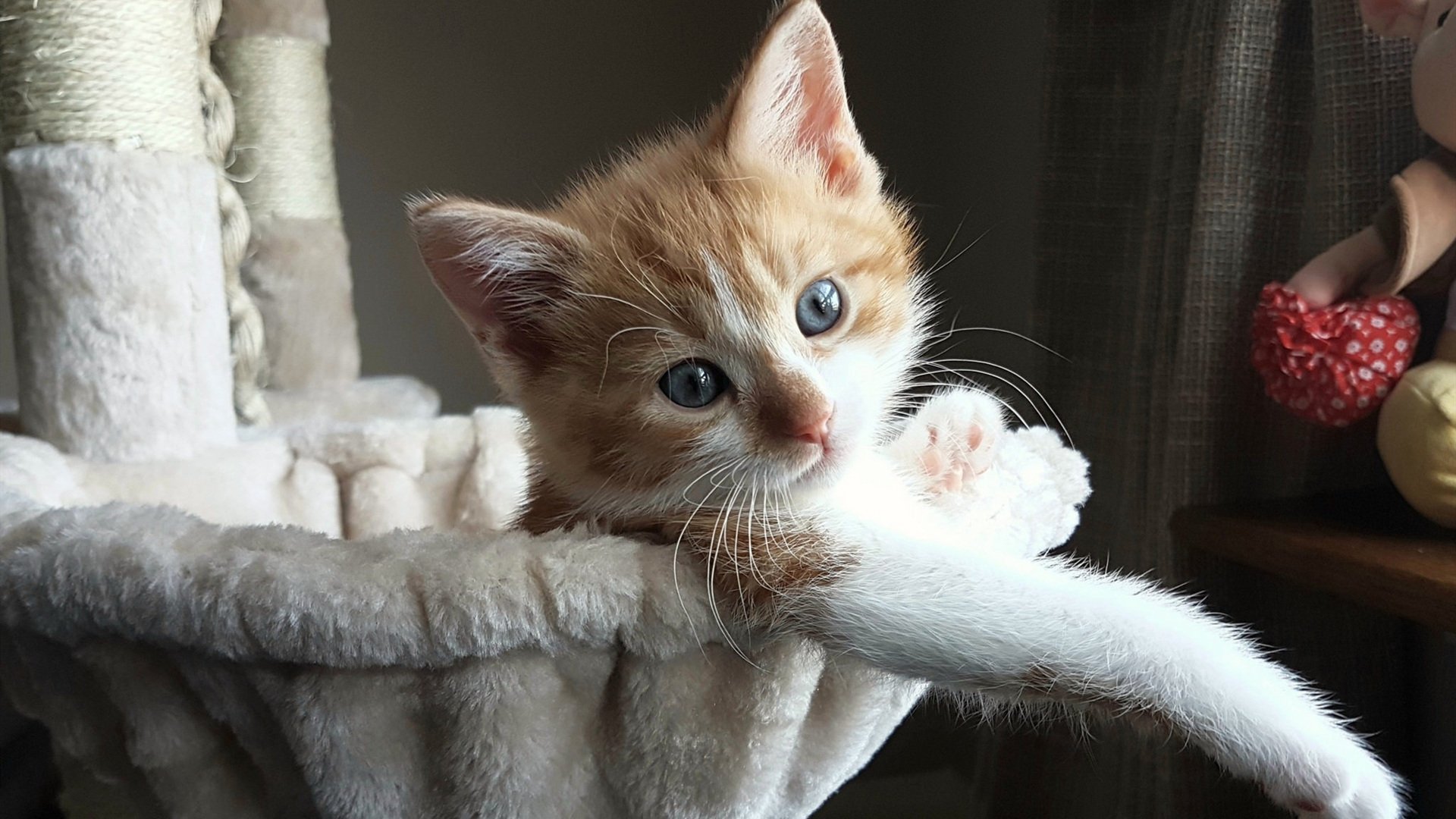 AIYOUXI.COM-篮球青训推行小组互评制度增强团队协作，篮球团队训练