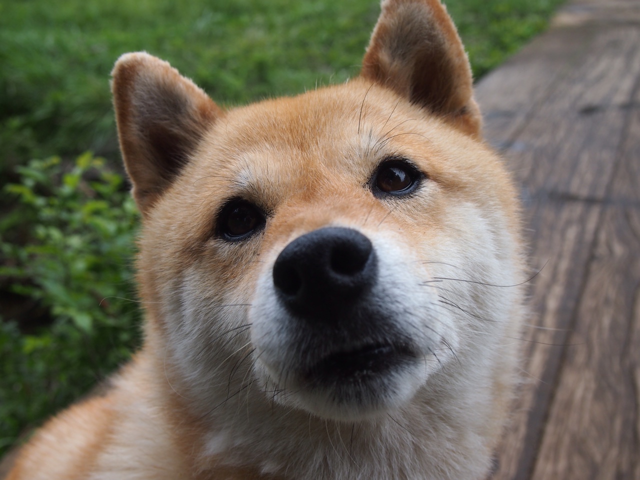 爱游戏中国官方登录入口网站-贝尔哈德·福特：凭借冷静的场上决策，提升全黑队比赛节奏，贝尔福特vs丹亨德森